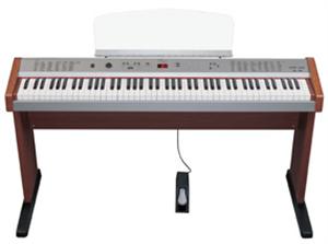 PDP100